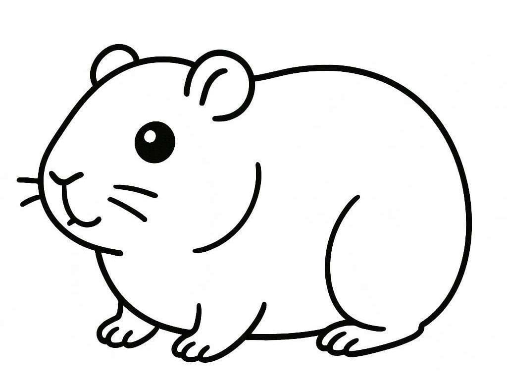 モルモット 無料で ぬりえ