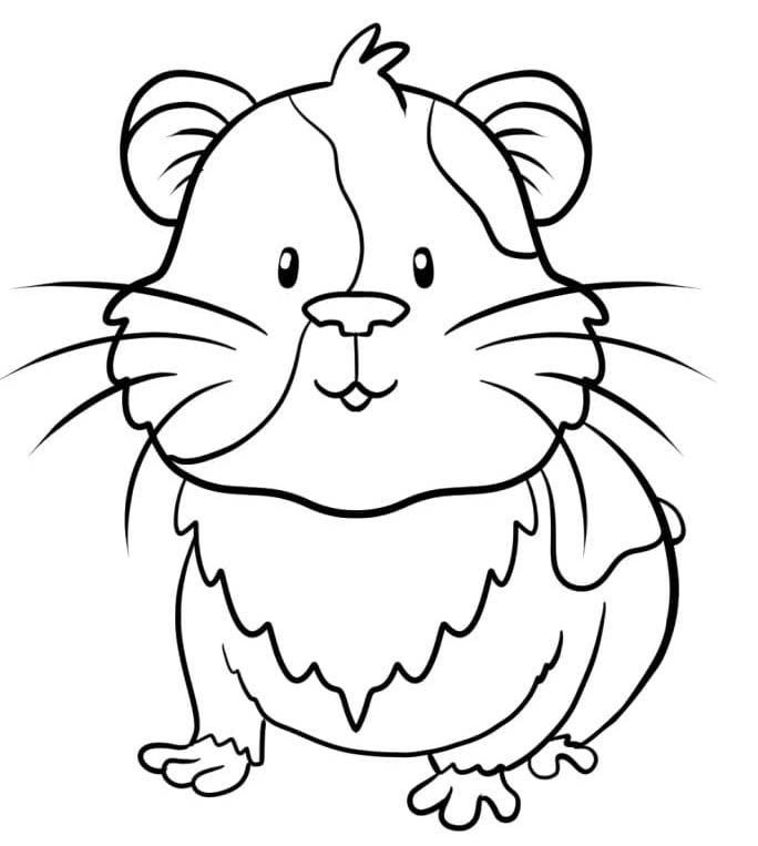 モルモット 無料 ぬりえ