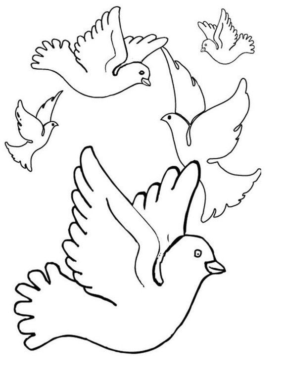 群れ 鳩 ぬりえ