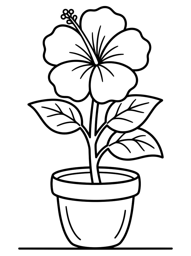 無料で ハイビスカス 描く ぬりえ
