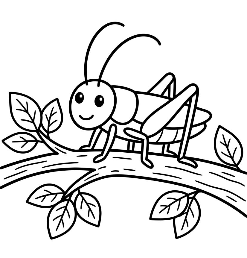 無料で印刷可能 コオロギ 描く ぬりえ