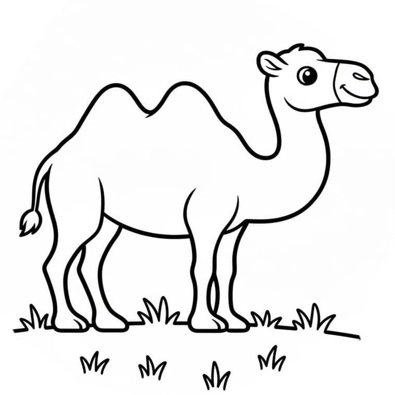 キャメル ぬりえ ぬりえ