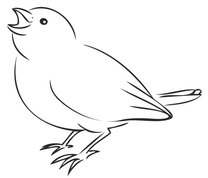 無料で印刷可能 スズメ 描く ぬりえ