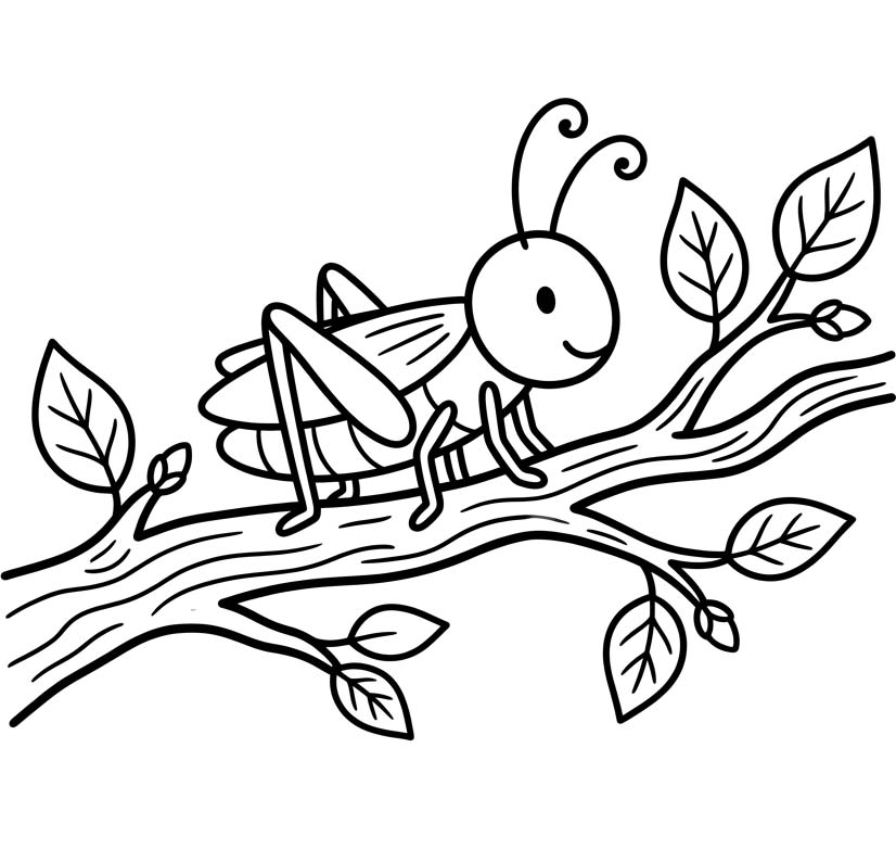 無料で コオロギ 描く ぬりえ