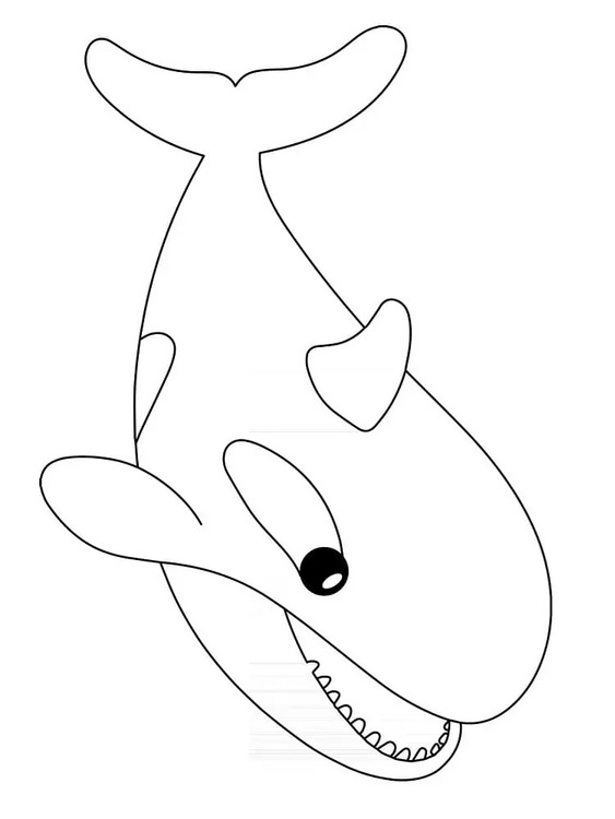 無料で シャチ ぬりえ