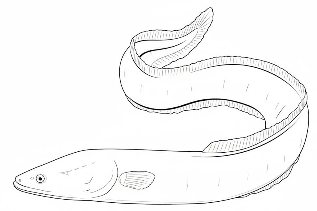 無料で うなぎ 描く ぬりえ