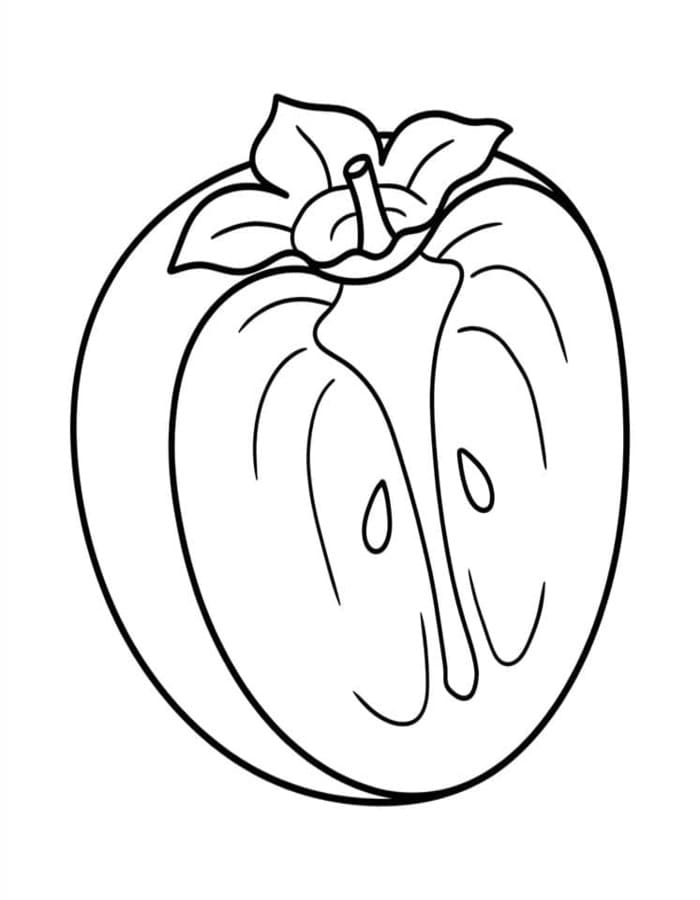 無料 柿の実 描く ぬりえ