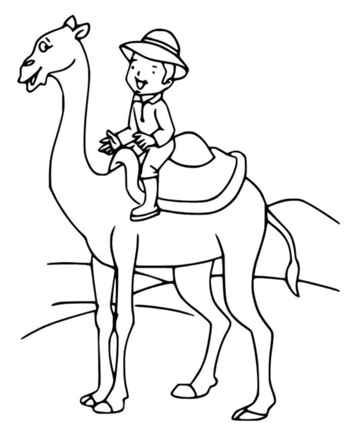 無料 キャメル 描く ぬりえ