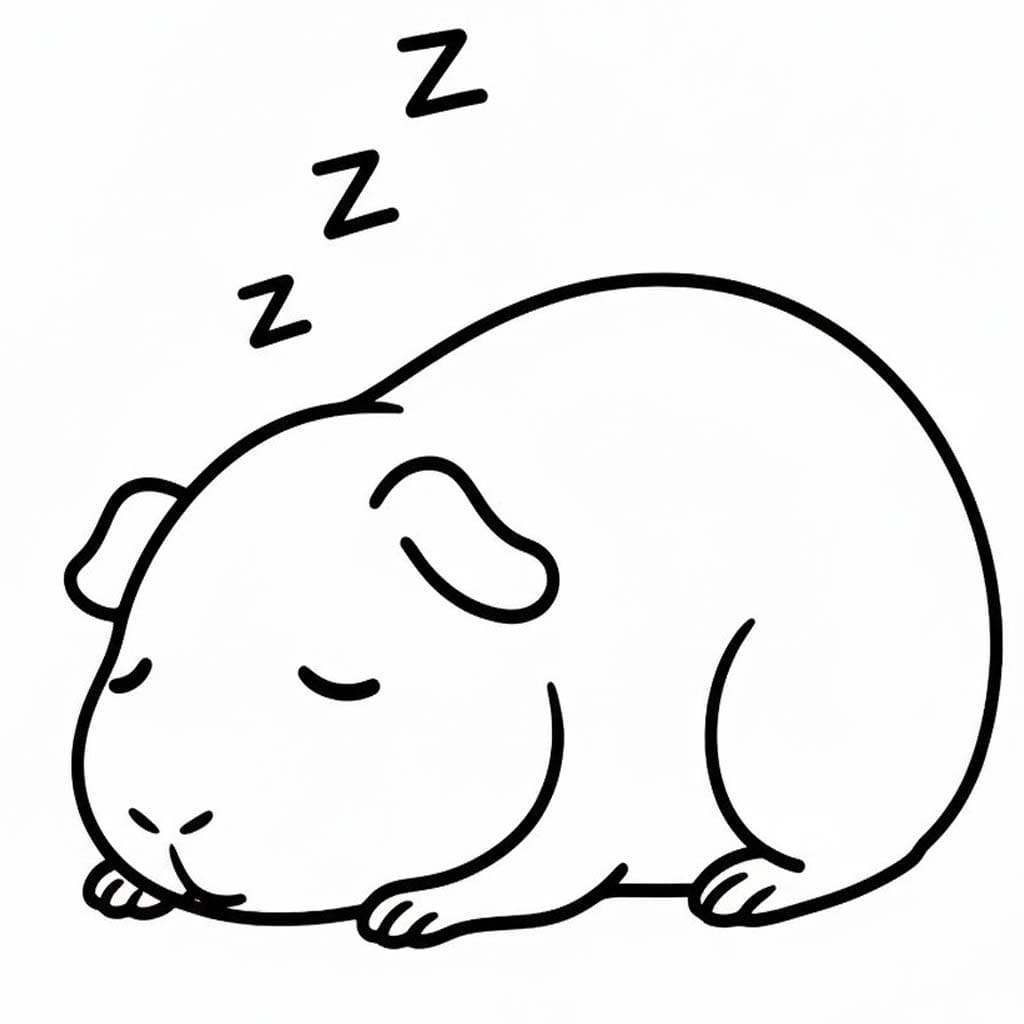 無料 モルモット 描く ぬりえ