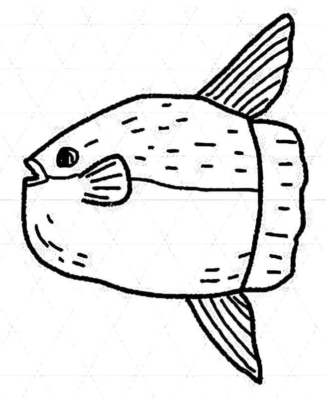 無料のマンボウ ぬりえ