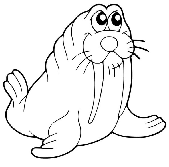 無料 セイウチ 描く ぬりえ