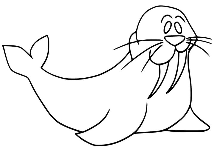 無料 セイウチ ぬりえ