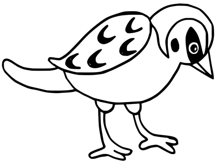 無料 スズメ 描く ぬりえ