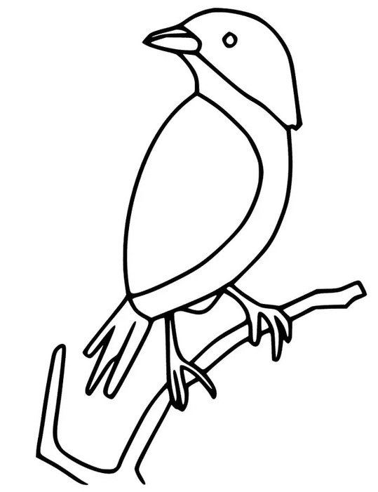 無料 スズメ ぬりえ