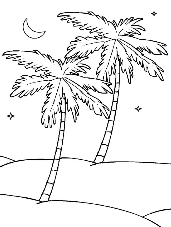 無料 ヤシの木 描く ぬりえ