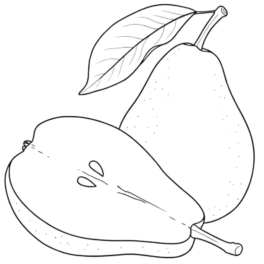 ナシ果実 ぬりえ