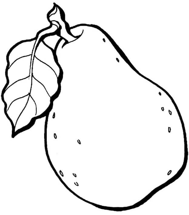ナシ スケッチ ぬりえ