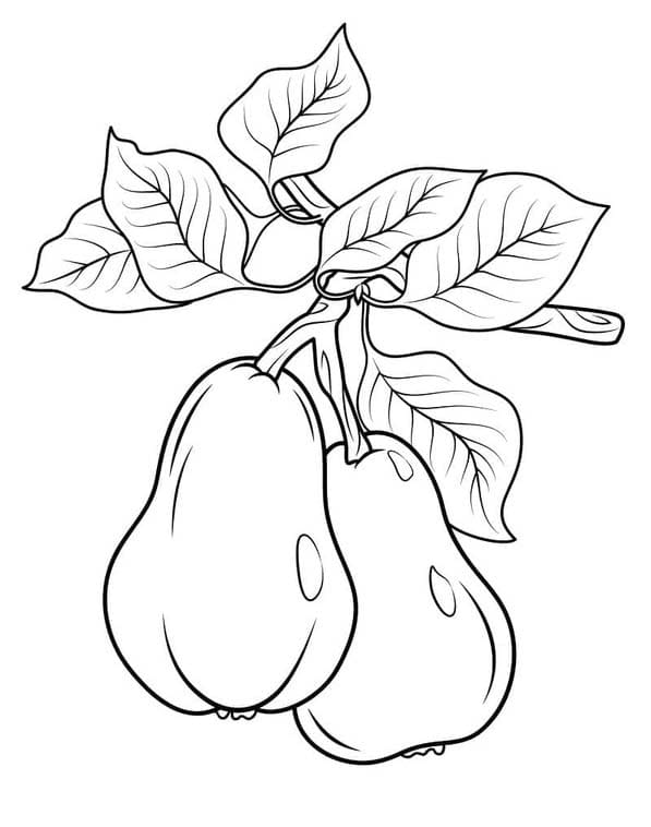 ナシ 幼児向け イラスト ぬりえ