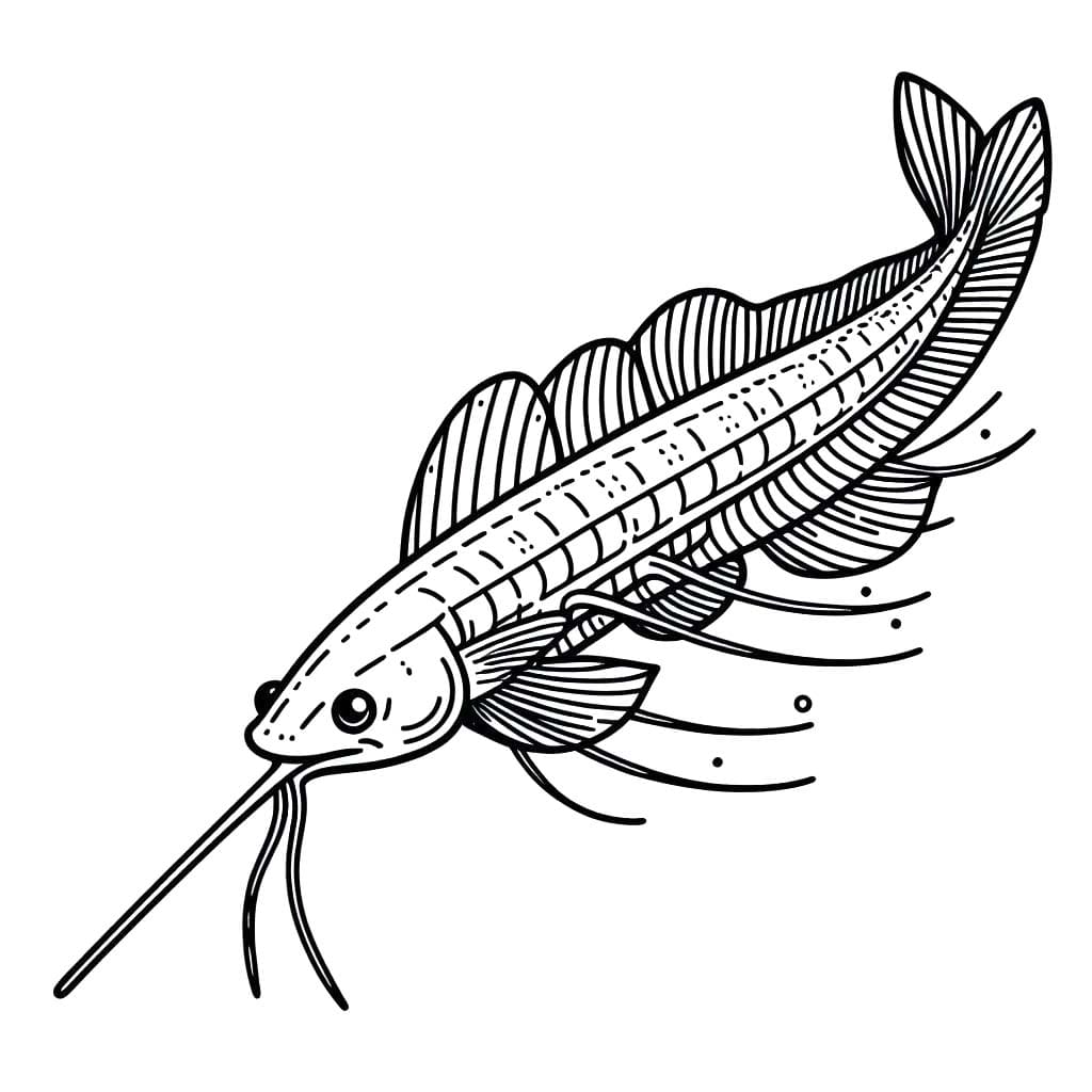 リュウグウノツカイを描く ぬりえ