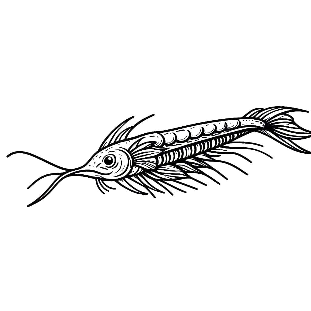 リュウグウノツカイを無料で描く ぬりえ