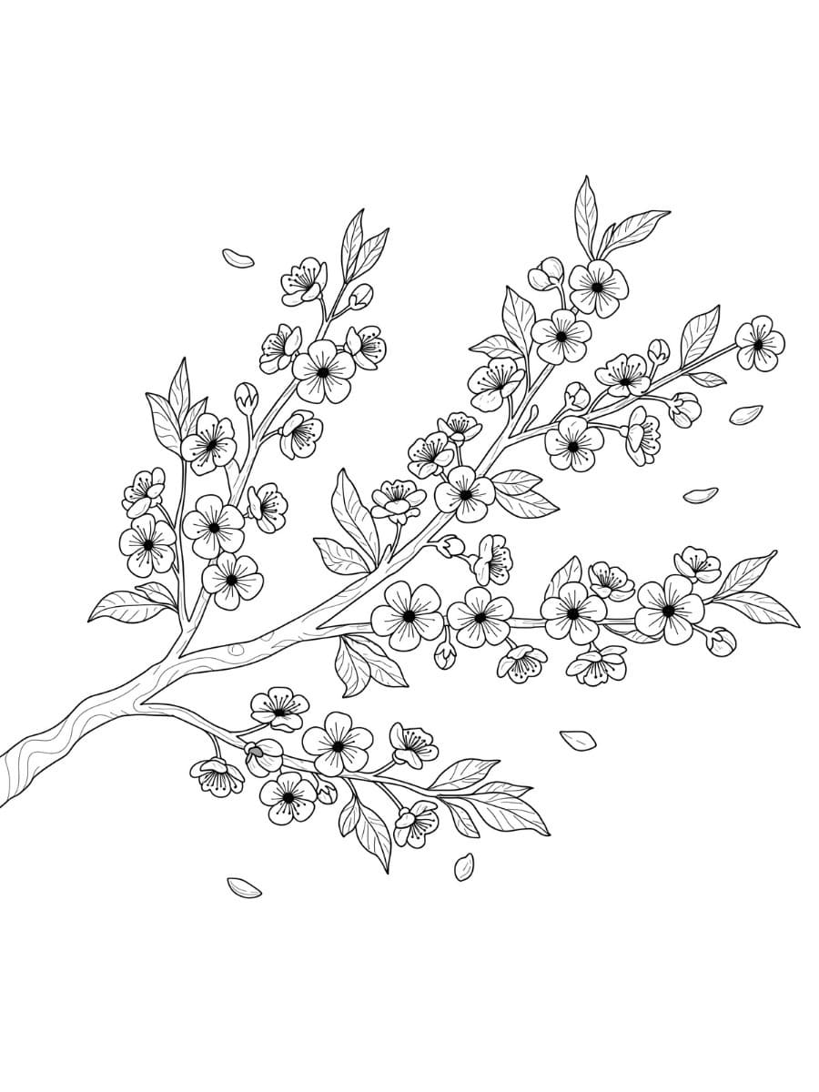 桜 画像無料 ぬりえ