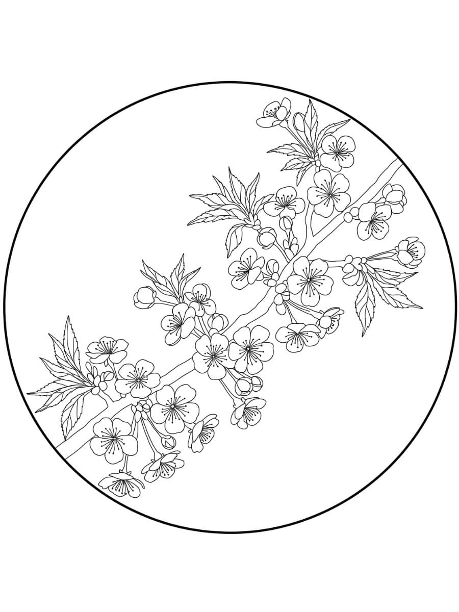 桜 印刷可能 ぬりえ