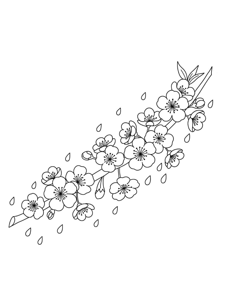 桜 描く2 ぬりえ