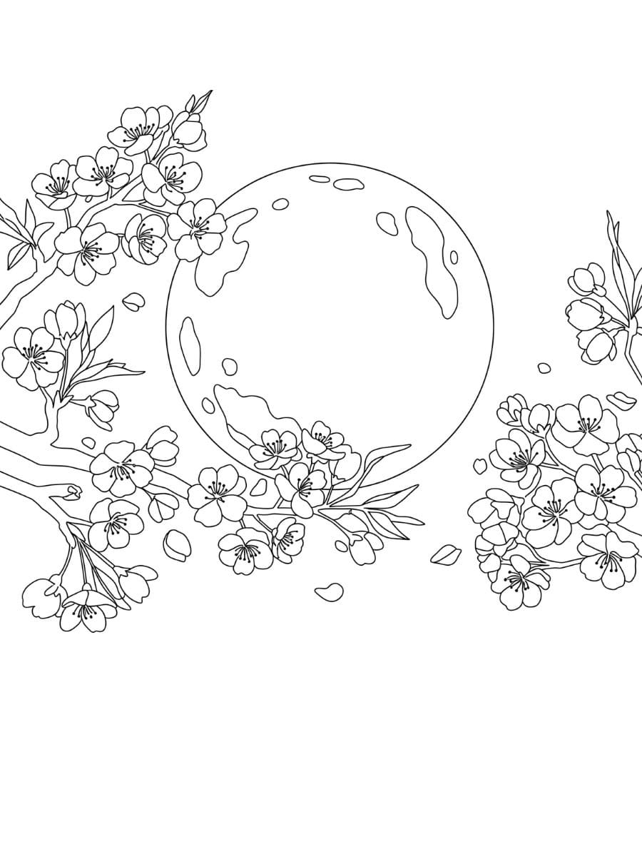 桜 描く4 ぬりえ