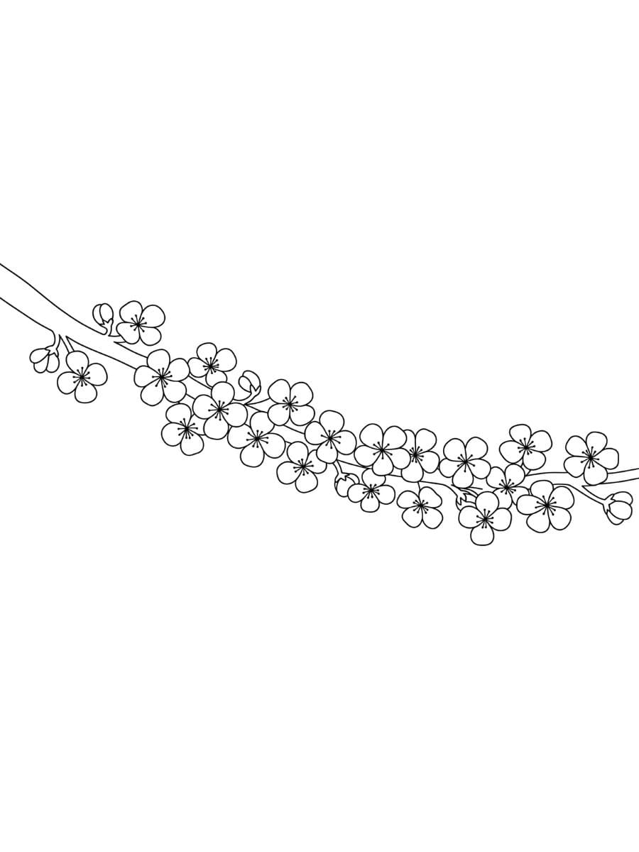 桜 描く8 ぬりえ