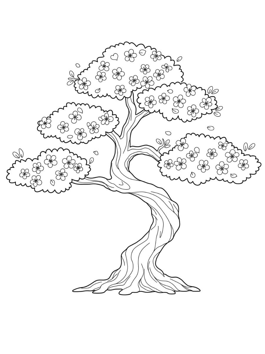 桜 木 ぬりえ