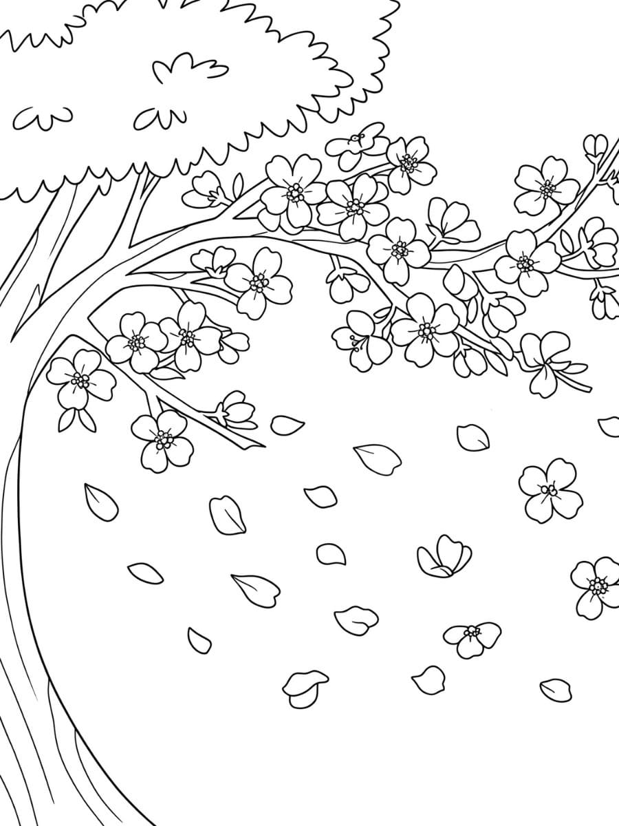 桜 基本的な ぬりえ