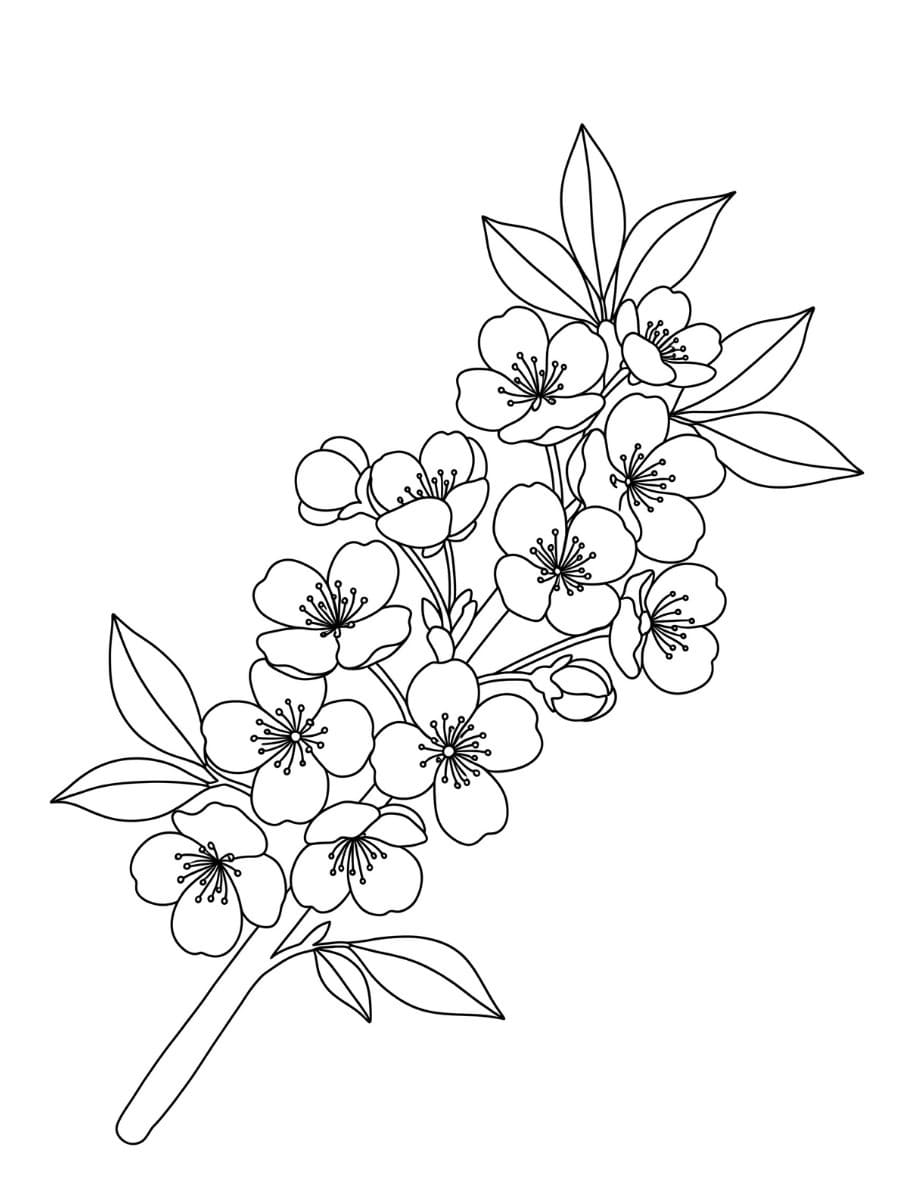桜 無料で印刷できる画像 ぬりえ