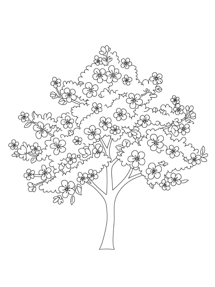 桜 無料 ぬりえ