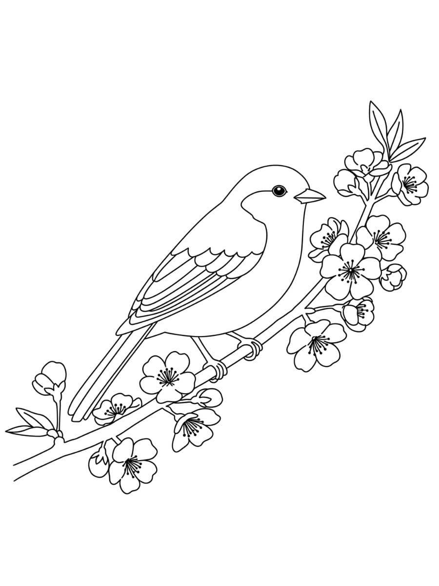 桜 そして 鳥 ぬりえ
