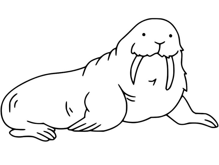 セイウチ 描画 ぬりえ
