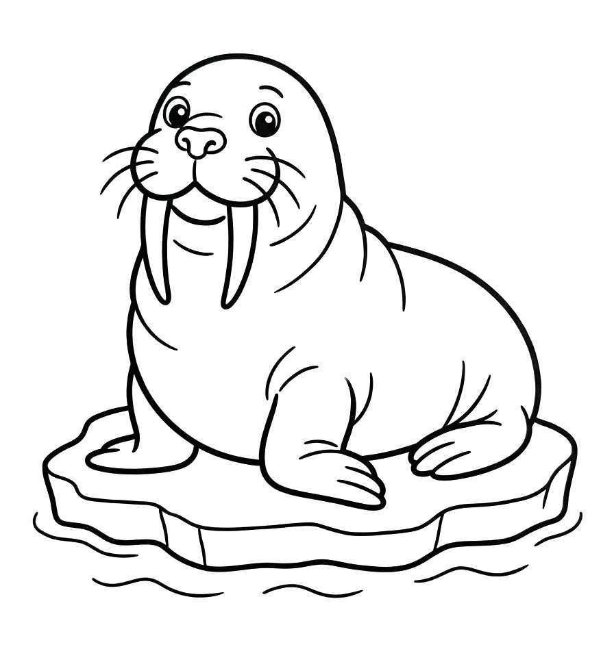 セイウチ 簡単 ぬりえ