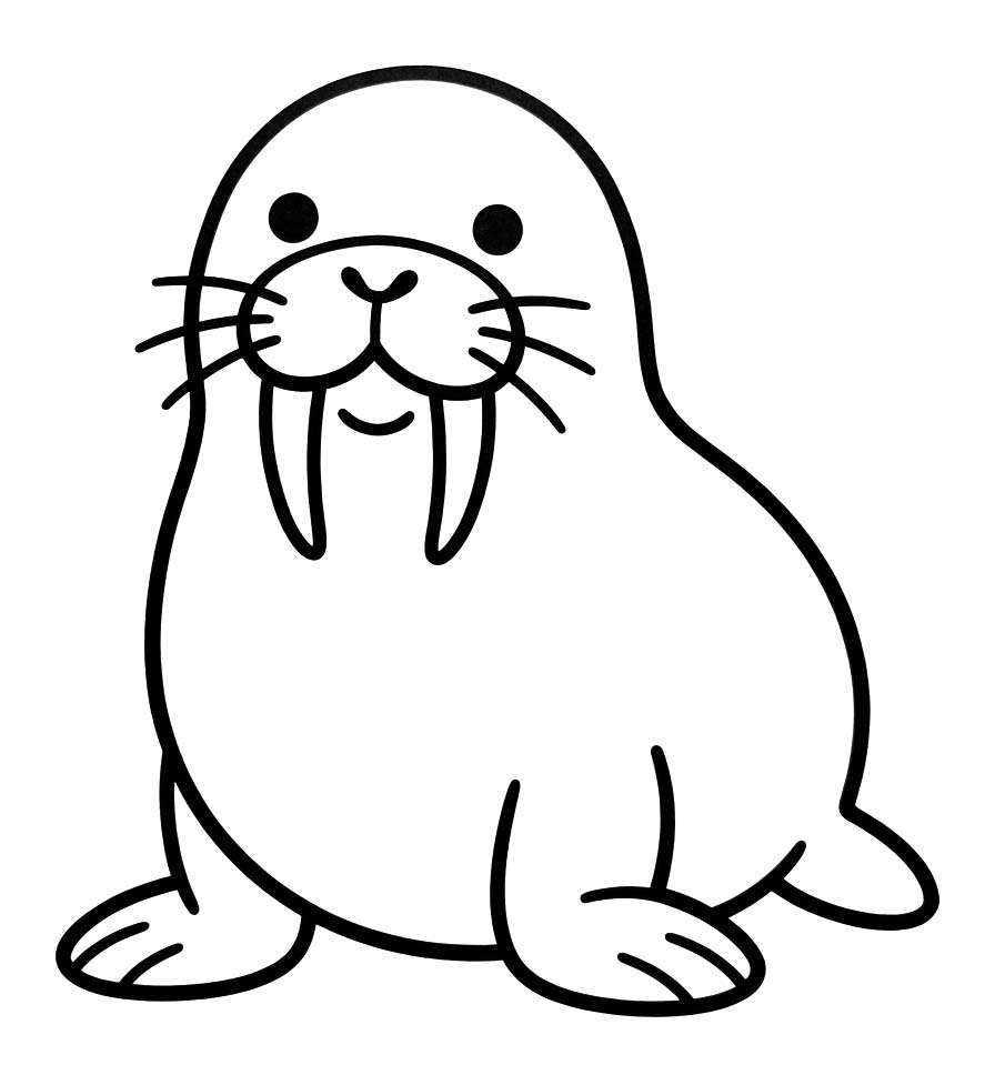 セイウチ 基本的な ぬりえ