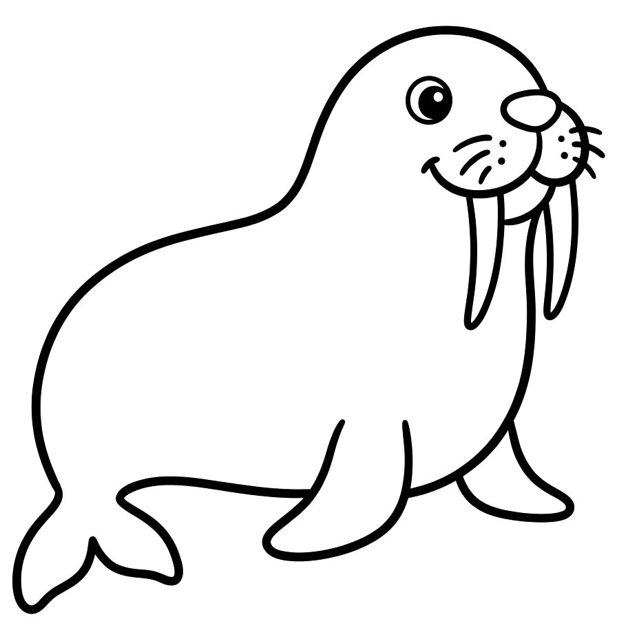 セイウチ 無料で ぬりえ