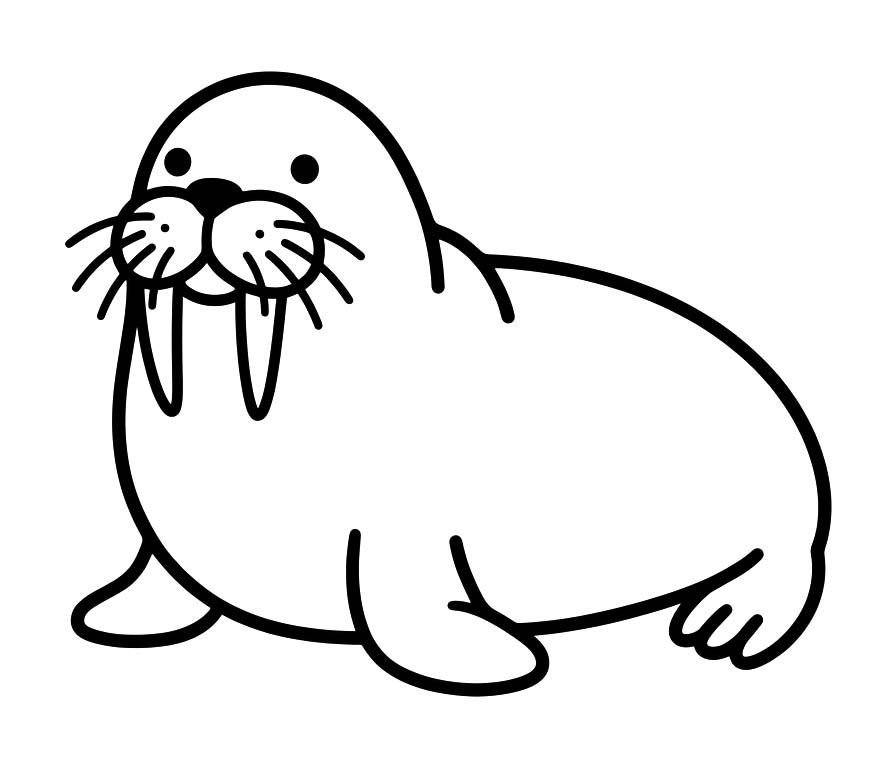 セイウチ 無料 ぬりえ