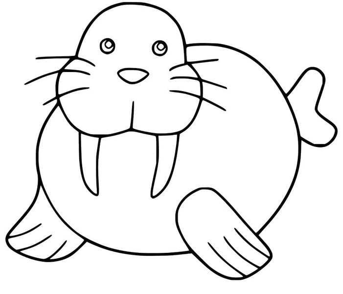 セイウチ 単純 ぬりえ