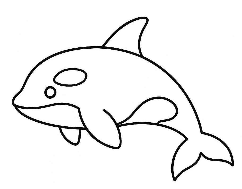 シャチ 基本的な ぬりえ