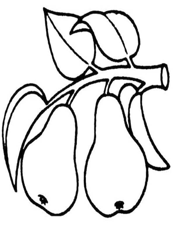 シンプル ナシ ぬりえ