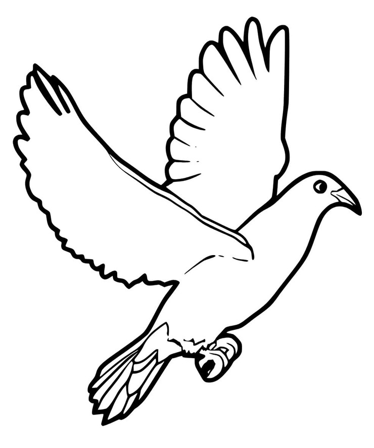 シンプルな鳩 ぬりえ