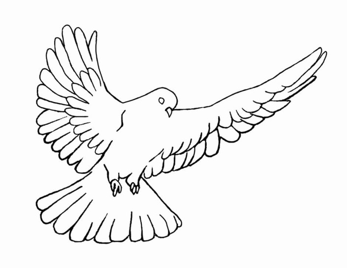 白い鳩 ぬりえ