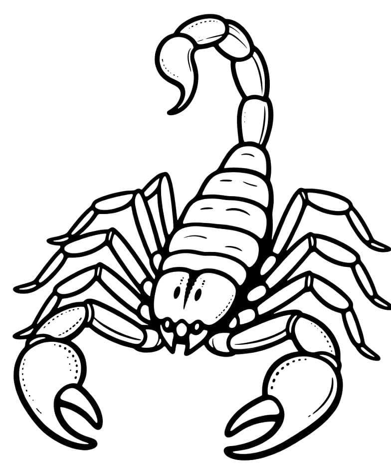 スコーピオン 簡単 ぬりえ