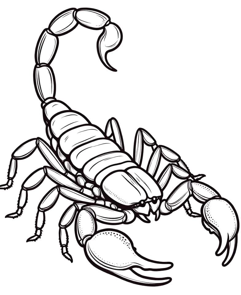 スコーピオン 基本的な ぬりえ