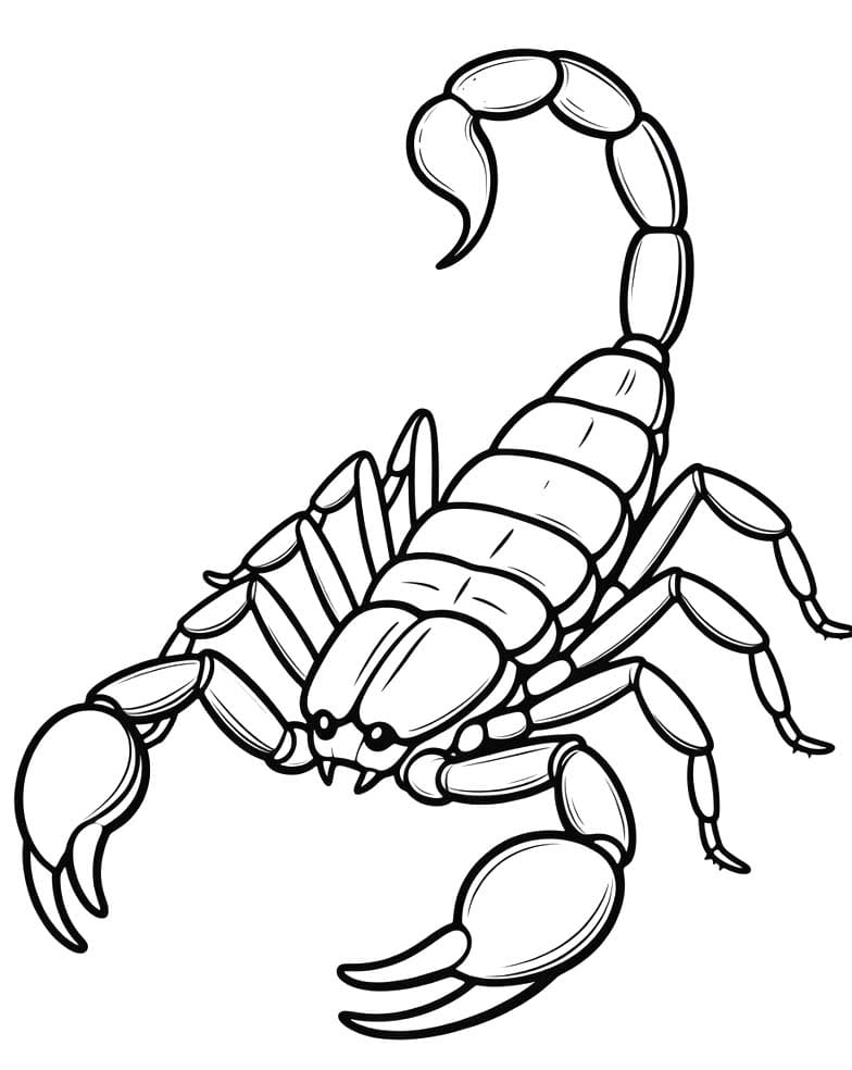 スコーピオン 無料で ぬりえ