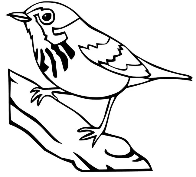 スズメ 描く ぬりえ