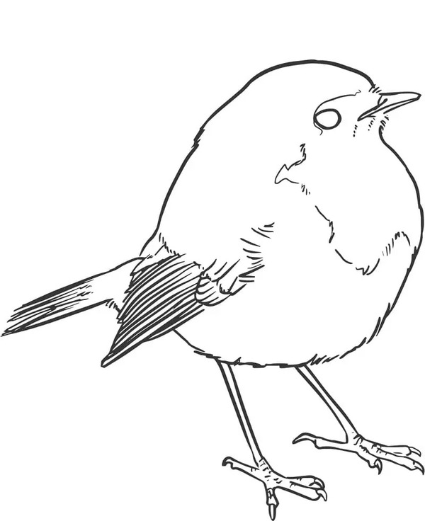 スズメ 無料 ぬりえ