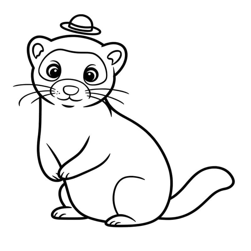 単純 フェレット ぬりえ